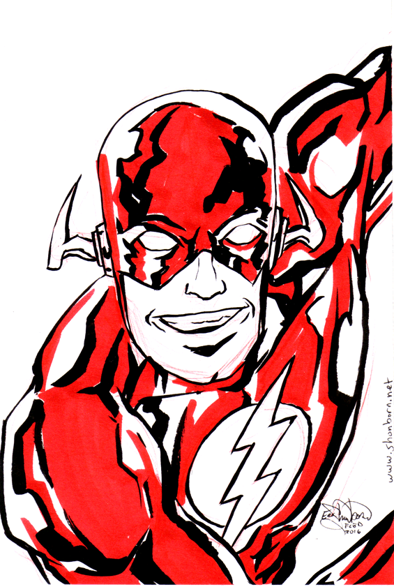 461a. The Flash