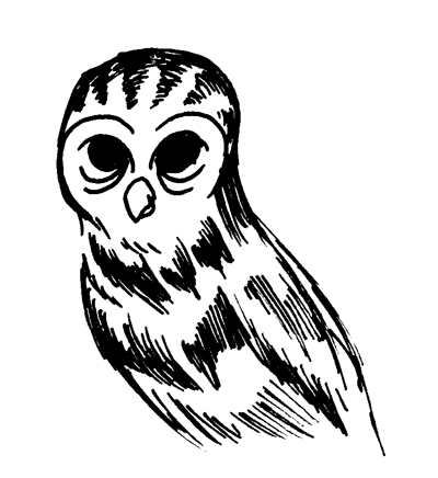 014 – Owl
